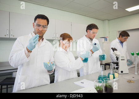 Scientists standing in a row while working Stock Photo