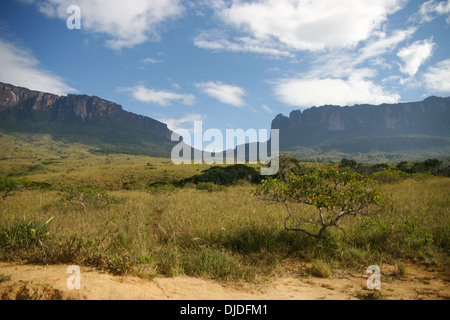 The summits of Mount Kukenan and Mount Roraima in Venezuela Stock Photo