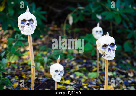 Yorkshire Skull Candles