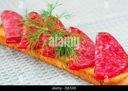 Sandwich with salami and dill isolated on gray background. Stock Photo