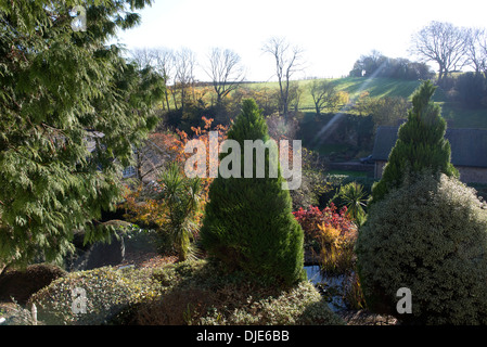 Colours in a garden in Devon on a bright autumn morning Stock Photo