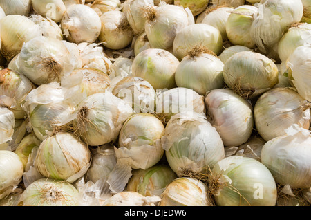 White onions on display at the farmers market Stock Photo