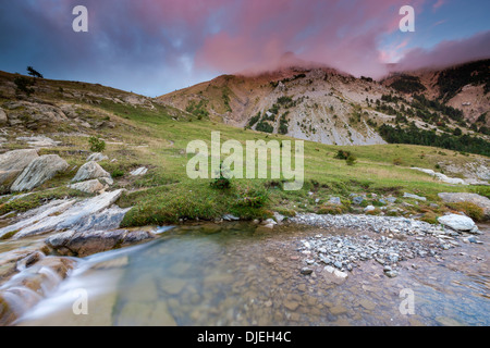Aisa valley, Parque Natural de los Valles Occidentales, Jacetania, Pyrenees, Huesca province, Aragon, Spain, Europe. Stock Photo