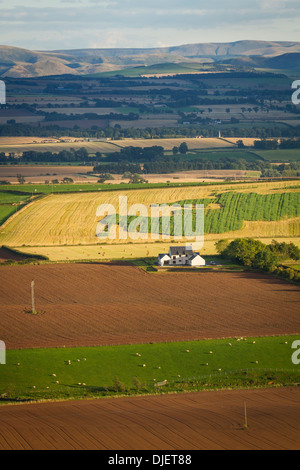 Rural farmland in the central Scottish Borders Stock Photo