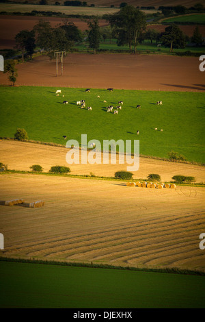 Rural farmland in the central Scottish Borders Stock Photo