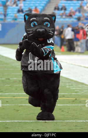 Dec 03, 2007 - Charlotte, North Carolina, USA - Carolina Panthers Mascot SIR PURR as the Carolina Panthers beat the San Francisco 49ers 31-14 as they played The Bank of America Stadium located in Charlotte. (Credit Image: © Jason Moore/ZUMA Press) Stock Photo