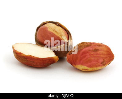 Hazel nuts isolated on the white background Stock Photo