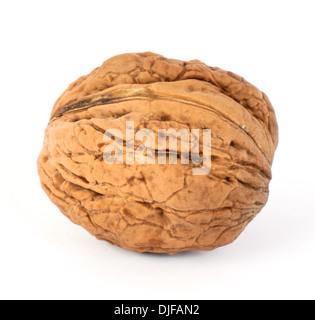 Walnut isolated on white background Stock Photo