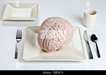 Human brain model on a dinner plate with silverware Stock Photo