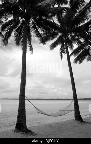 Empty hammock between two palm trees on the beach at sunset. Silhouette ...