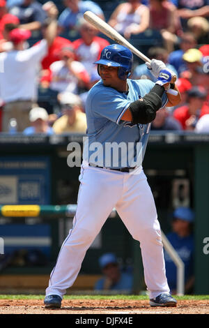 St. Louis Cardinals' Brayan Pena prepares to take batting practice during  spring training baseball practice Thursday, Feb. 18, 2016, in Jupiter, Fla.  (AP Photo/Jeff Roberson Stock Photo - Alamy