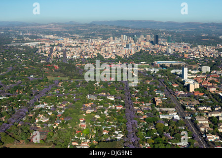 Aerial view of Pretoria's cental business district and the iconic Jacaranda trees in full bloom.Pretoria.South Africa Stock Photo