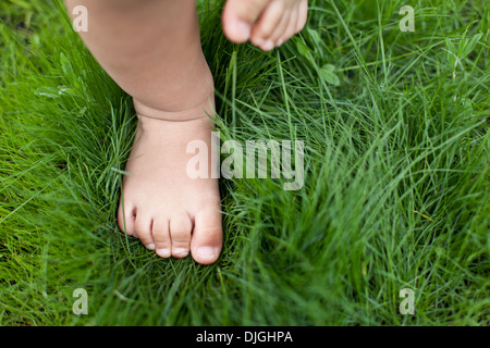 Small baby feet on the green grass. Stock Photo