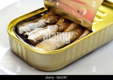 closeup of an open can of sardines in a plate