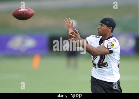 30 July 2010: Baltimore Ravens defensive tackle Kelly Gregg (97) in action  during Ravens training camp at McDaniel College in Westminster,  MDMandatory Credit: Russell Tracy / Southcreek Global. (Credit Image: ©  Russell