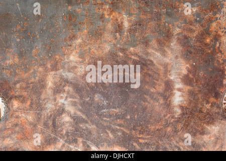 snake skins Stock Photo