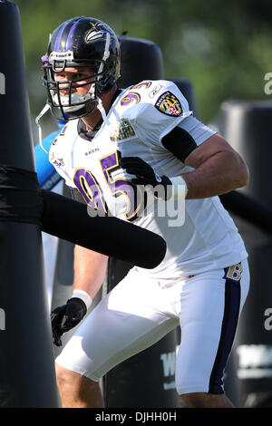 30 July 2010: Baltimore Ravens defensive tackle Kelly Gregg (97) in action  during Ravens training camp at McDaniel College in Westminster,  MDMandatory Credit: Russell Tracy / Southcreek Global. (Credit Image: ©  Russell