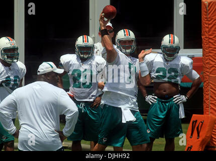 July 30, 2010 - Ft. Lauderdale, FL - Florida, USA - United States - FL-Dolphins-camp-0730c - Quarterbacks #7 Chad Henne throws the ball during the first day of Dolphins training camp. Mike Stocker, Sun Sentinel (Credit Image: © Sun-Sentinel/ZUMApress.com) Stock Photo