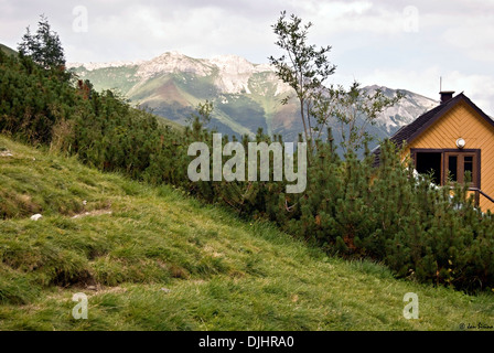 Belianske Tatry from surrounding of Chata pri Zelenom plese in High Tatras mountains in Slovakia Stock Photo