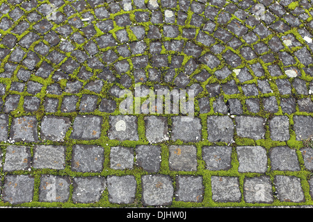 Moss-grown pavement Stock Photo