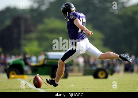 Baltimore Ravens running back Willis McGahee carries the ball during the  NFL football team's training camp, Friday, July 31, 2009, in Westminster,  Md. (AP Photo/Rob Carr Stock Photo - Alamy