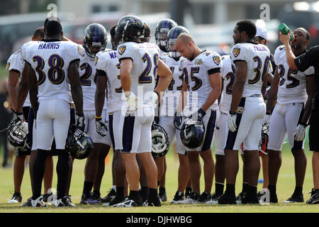 Baltimore Ravens running back Willis McGahee carries the ball during the  NFL football team's training camp, Friday, July 31, 2009, in Westminster,  Md. (AP Photo/Rob Carr Stock Photo - Alamy