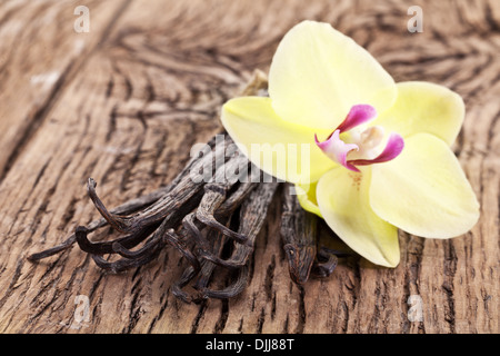 Vanilla sticks with a flower on a wooden table. Stock Photo
