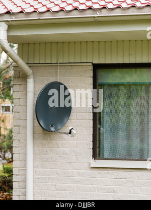 Satellite is attached to the brick wall of the house, vertical format Stock Photo