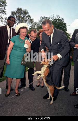 US President Lyndon B. Johnson holds his beagle up by the ears as members of the press watch on the South Lawn of the White House May 4, 1964 in Washington, DC. Stock Photo