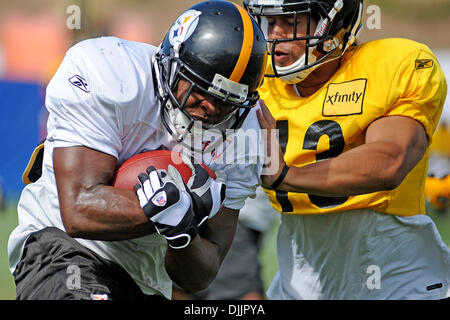 Pittsburgh Steelers strong safety Troy Polamalu (43) watches the replay on  his recovery of a Houston Texans fumble in the fourth quarter of the  Steelers 30-23 winat Heinz Field in Pittsburgh on October 20, 2014.  UPI/Archie Carpenter Stock Photo - Alamy