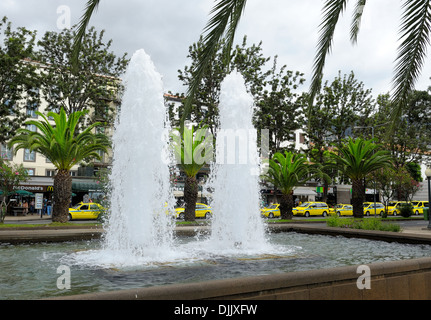 Funchal Madeira. Fountains on the promenade with palm trees and yellow taxis in the street behind Stock Photo