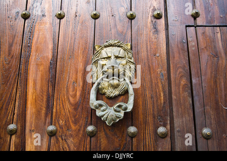 Lion knocker on a door in Cartagena, Colombia Stock Photo