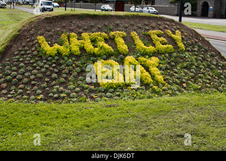 Whitley Bay raised beds at the entrance to the town Stock Photo