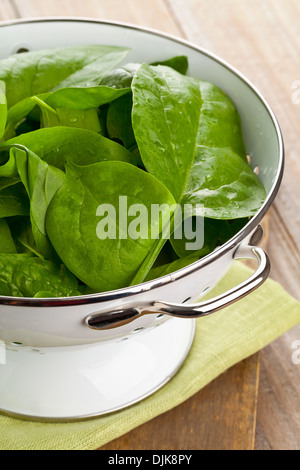 Freshly washed organic spinach leaves in kitchen strainer Stock Photo