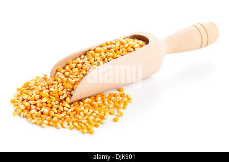 Dried corn kernels in wooden scoop on white background Stock Photo