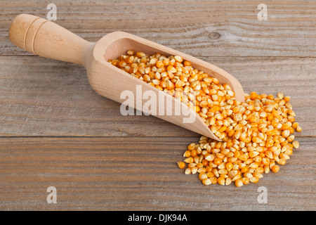 Dried corn kernels in wooden scoop on wood background Stock Photo