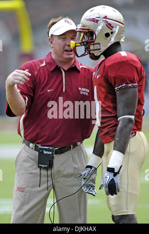 Sept. 7, 2010 - Jacksonville, Florida, United States of America - January 4, 2010: FSU Defensive Coordinator Mark Stoops makes his debut on Jimbo Fisher's coaching staff against the Samford Bulldogs. FSU defeated Samford 59-6 at Doak Campbell Stadium in Tallahassee, Florida. (Credit Image: © Mike Olivella/ZUMApress.com) Stock Photo