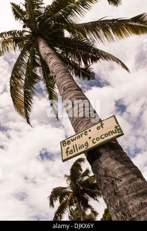Sign on coconut tree warning of the danger of falling coconuts! The grounds of the Ratu Mocevakaca Memorial School, Matuku Fiji Stock Photo