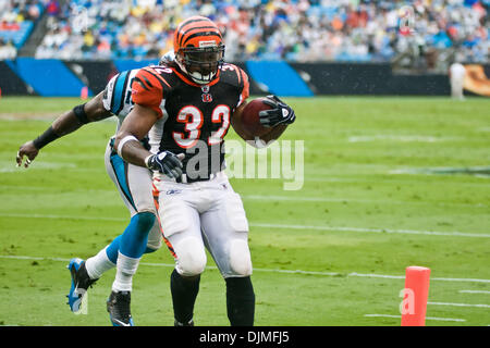 Cincinnati Bengals running back Cedric Peerman warms up prior to an NFL  football game against the Buffalo Bills, Sunday, Oct. 2, 2011, in  Cincinnati. (AP Photo/Al Behrman Stock Photo - Alamy