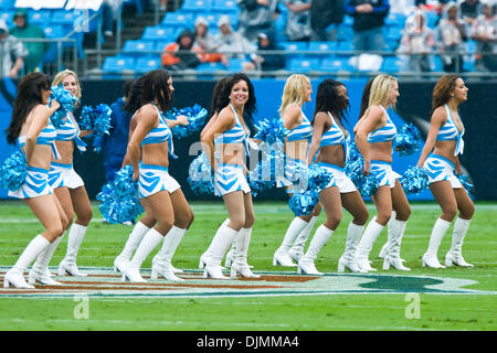 Sept. 26, 2010 - Charlotte, North Carolina, United States of America - Panthers CHeerleaders in action The Bengal's beat the Panthers 20-7 at Bank of America Stadium, Charlotte NC. (Credit Image: © Mark Abbott/Southcreek Global/ZUMApress.com) Stock Photo