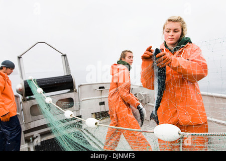 Gillnet hi-res stock photography and images - Page 2 - Alamy