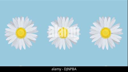 Vector illustration of chamomiles on blue background Stock Vector
