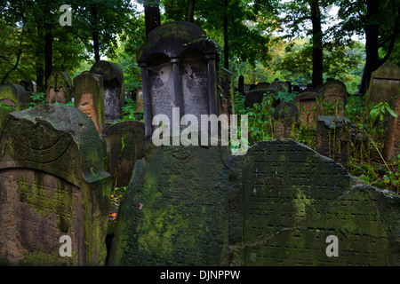 The New Jewish Cemetery, The old Jewish Quarter at Kazimierz, Krakow, Poland Stock Photo