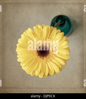 Yellow gerbera in blue vase with texture overlay Stock Photo