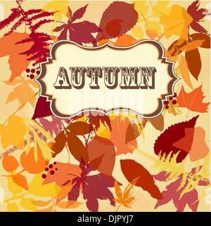 Autumn leaves background Stock Vector