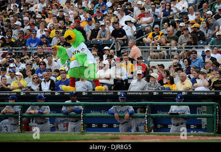 The mascot of the Pittsburgh Pirates, the Pirate Parrot, wears a Pride