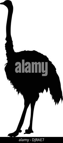 Silhouette of an ostrich Stock Vector