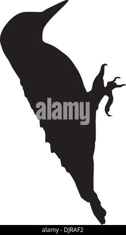 Silhouette of a woodpecker Stock Vector