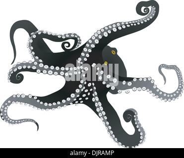 vector octopus Stock Vector