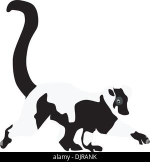 Vector illustration of lemur Stock Vector